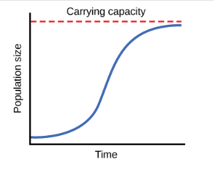 <p>what model of population growth does this graph illustrate?</p>