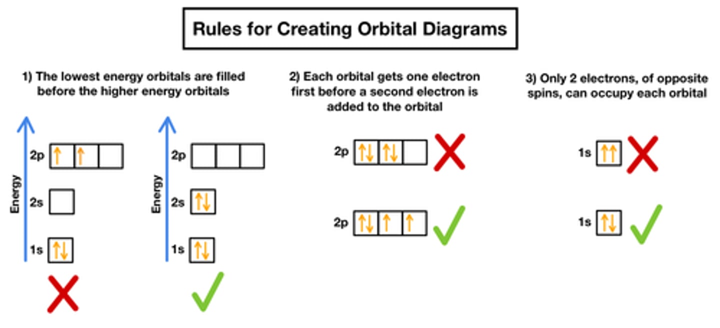 <p>Electrons fill orbitals singly before pairing up.</p>