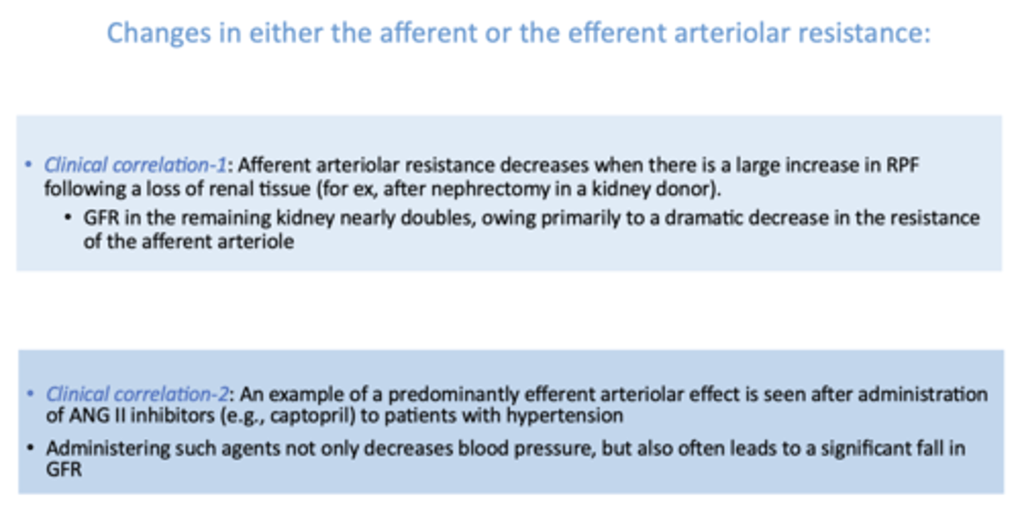 <p>kidney donation</p>