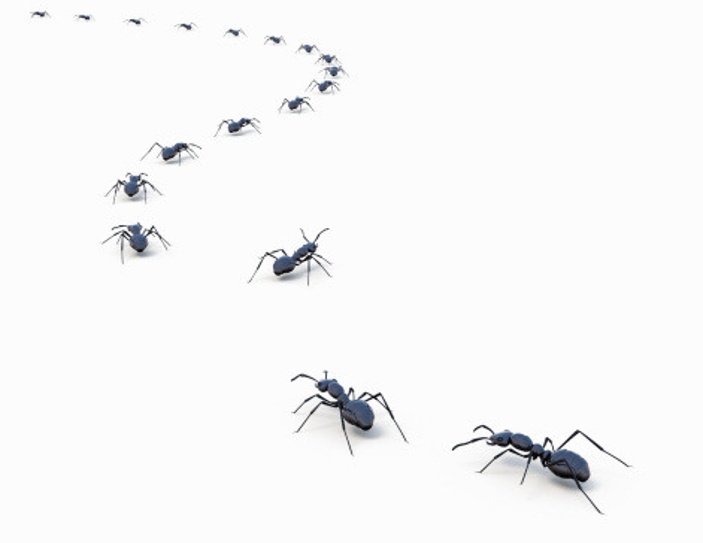 <p>To move away from an established route.</p>