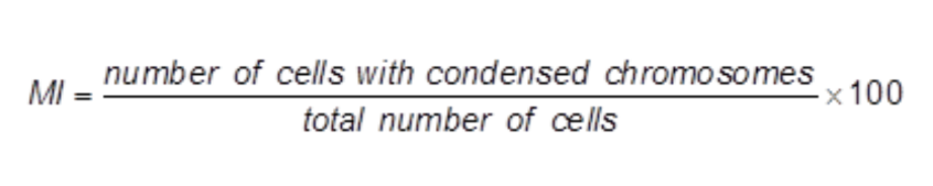 <p>The mitotic index is the proportion of cells actively undergoing mitosis</p>