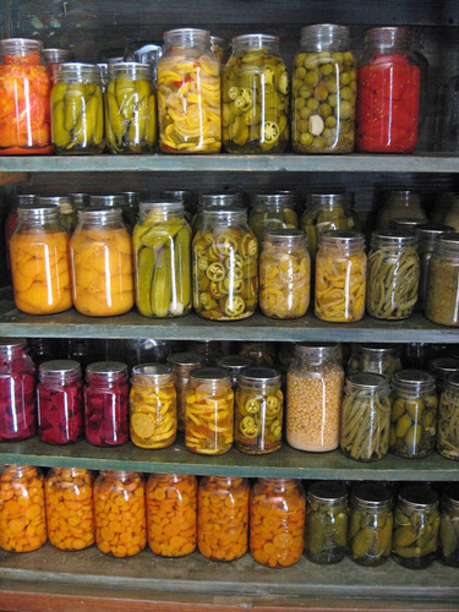 <p>ほぞん【BẢO TỒN】</p><p>sự bảo tồn</p>