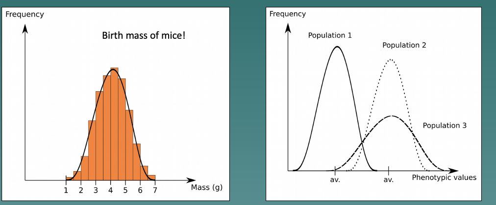 <ul><li><p>Example of a quantitative trait</p></li><li><p>Each population was found to have its own phenotypic average, and its own variance (differences)</p></li></ul>