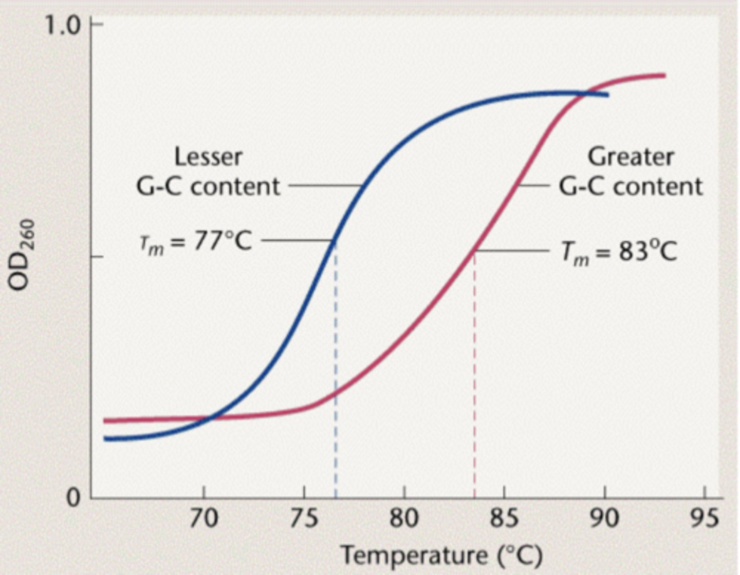 <p>G+C %</p>