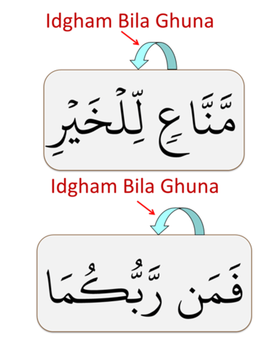 <p>Skip the Noon Sakinah or Tanween and pronounce the following letter with a shaddah and without a ghuna.</p>