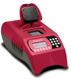 <p>What is this? </p>