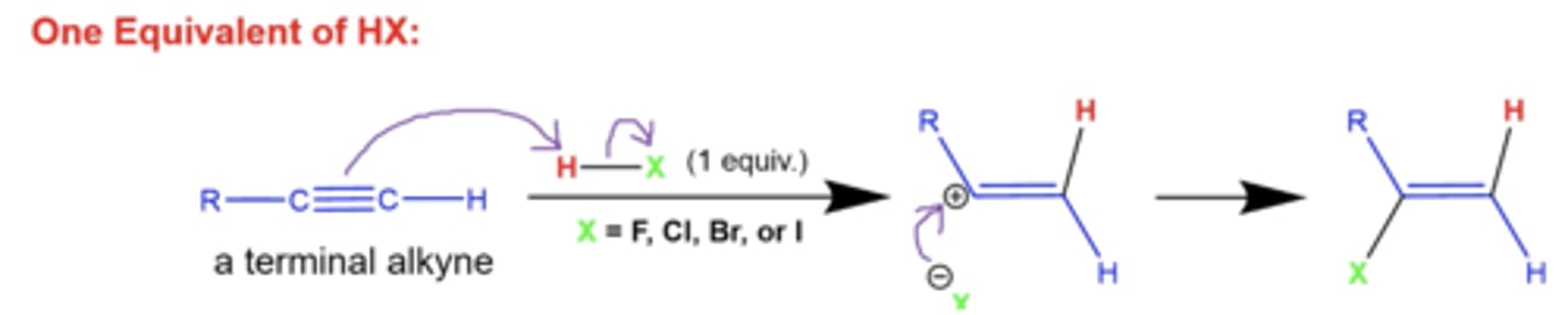 <p>H gets added to the less substituted side of the alkyne, and X gets added to the more substituted side</p>