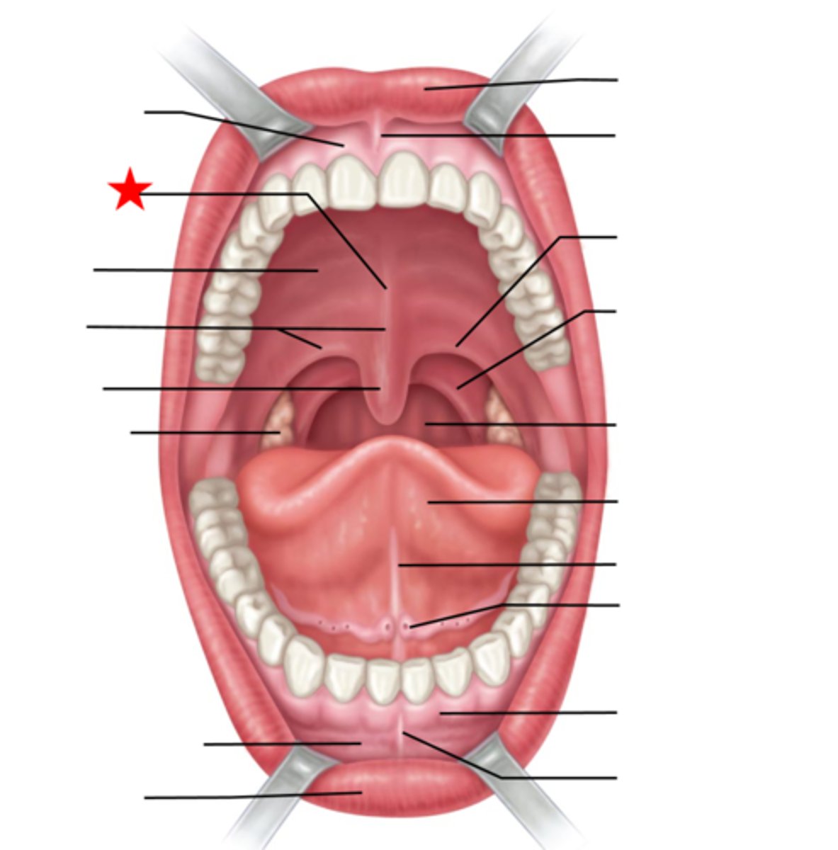 <p>What is this?</p>