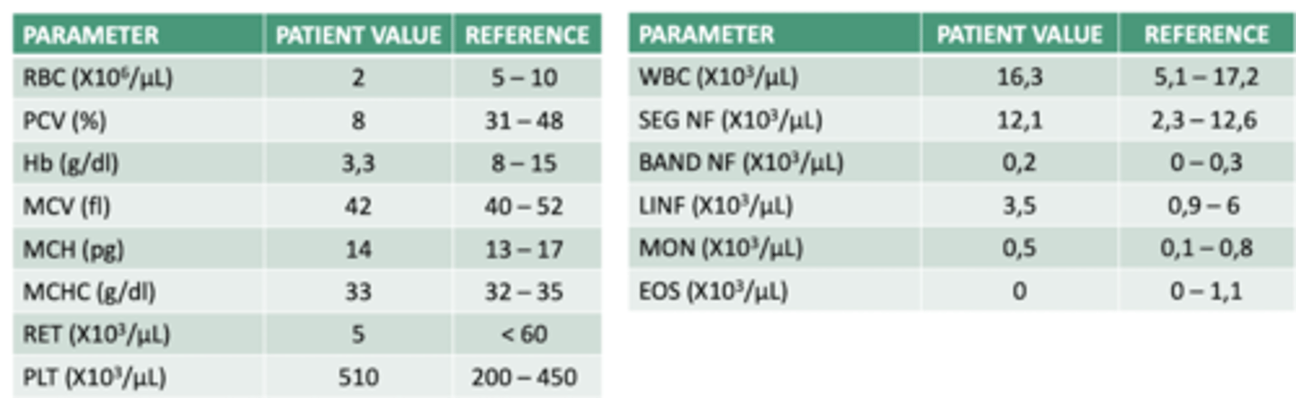 <p>interpretar esta analítica:</p>