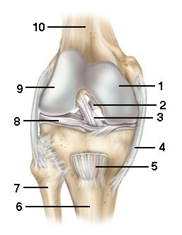 <p>2</p>