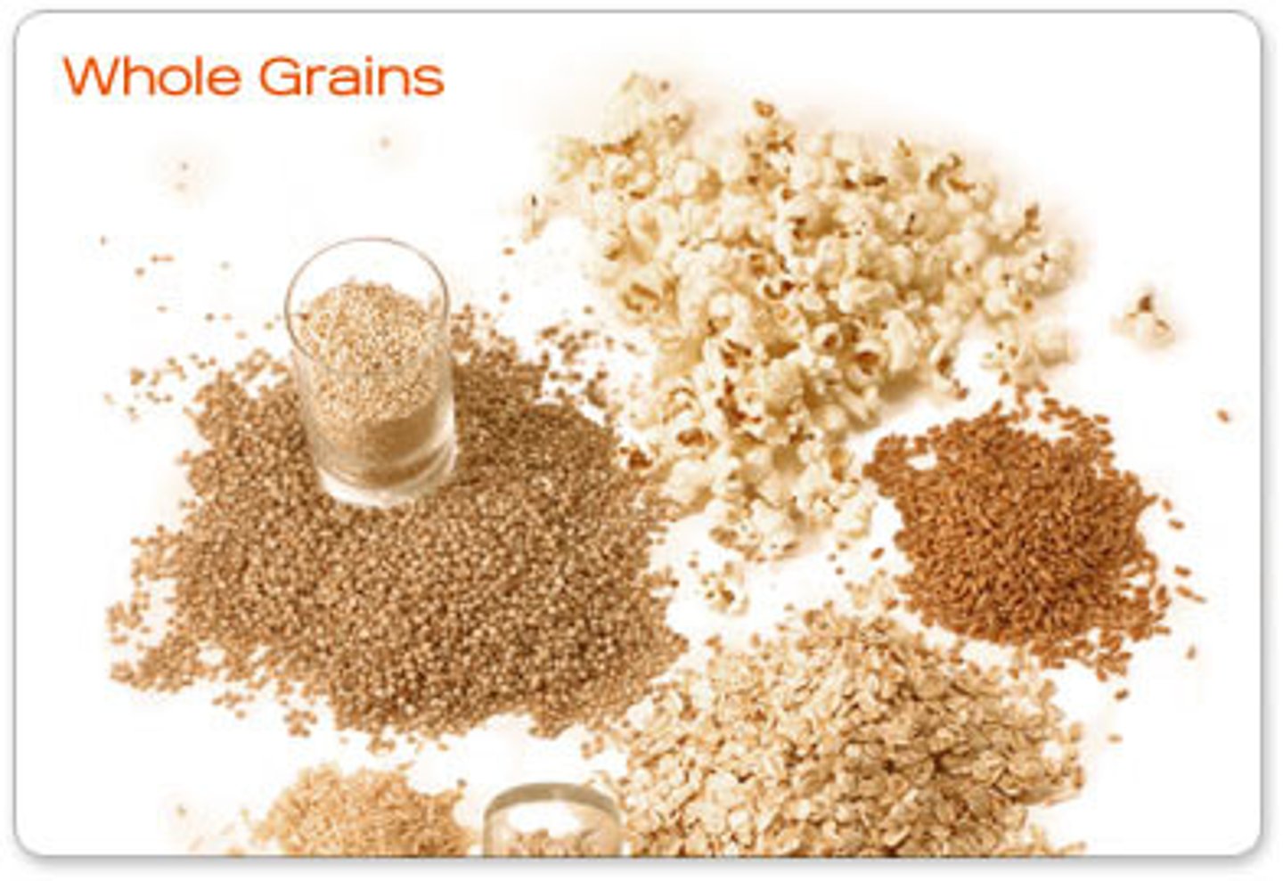 <p>the grains or cereals</p>