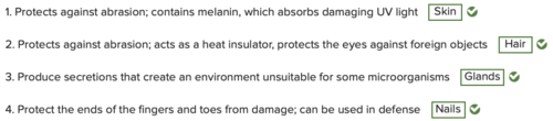 <p><span>Match the structure with its protective function</span></p>