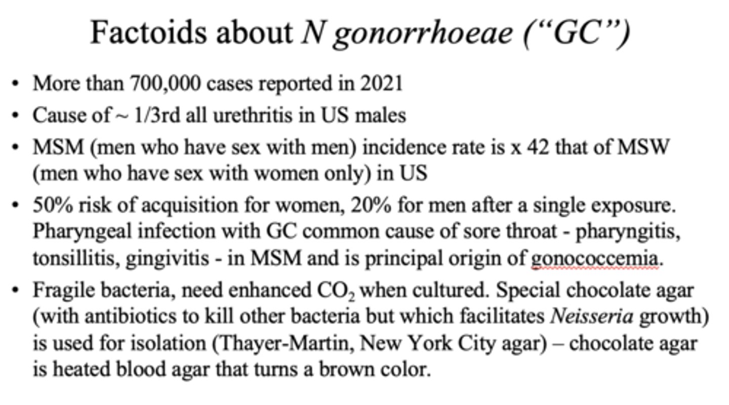 <p>gonorrhea</p>