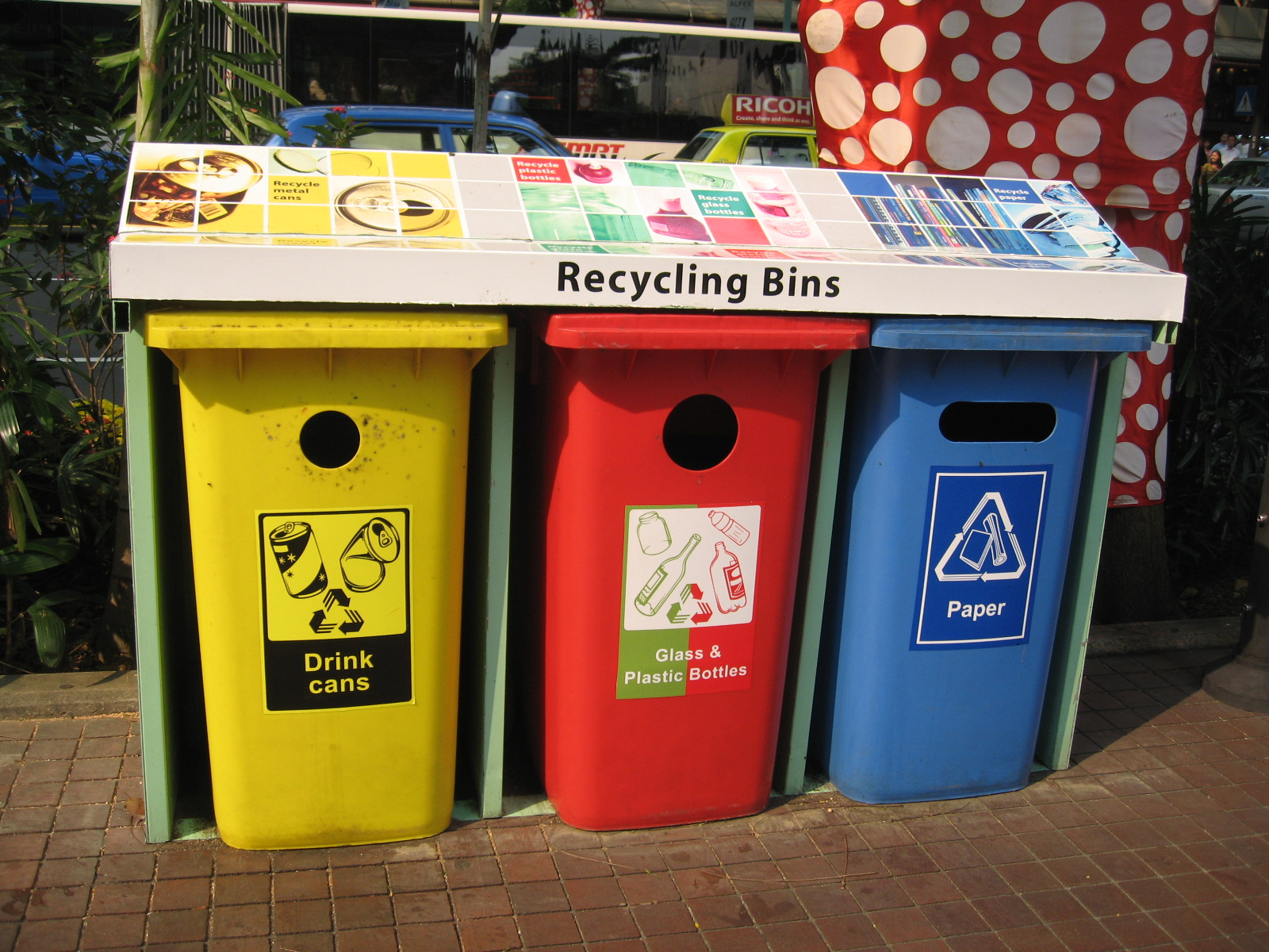 <p>There is a recycling bin in the park where you can ______ your drinks cans</p>