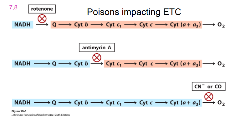 <p>Poisons Impacting ETC</p>