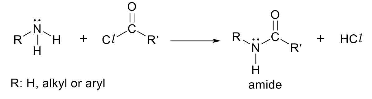 <p>Amine and Acyl Chloride</p>