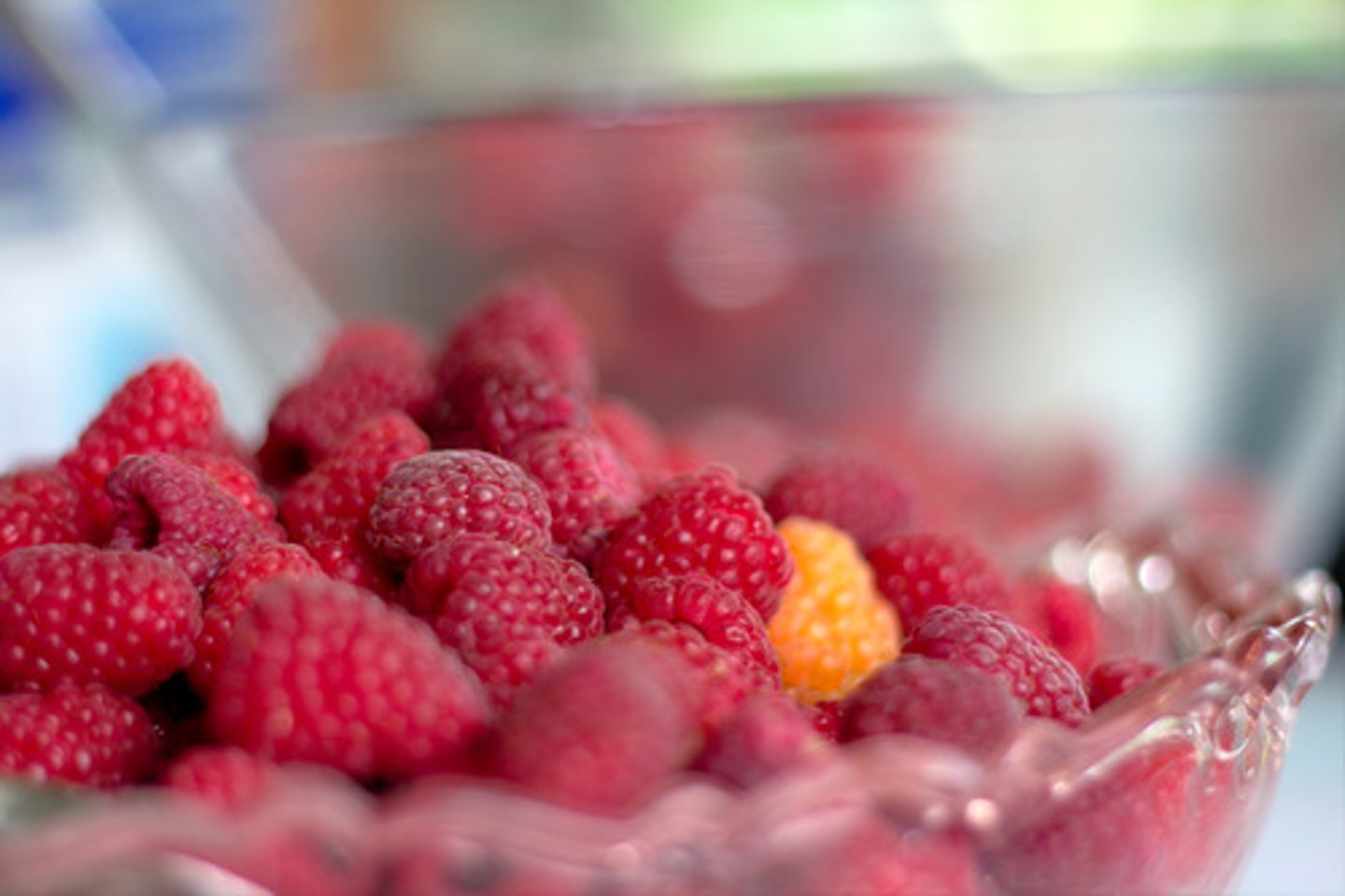<p>Raspberry</p>