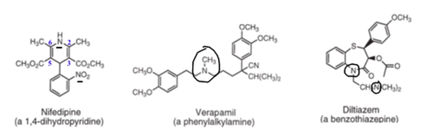 <p>- ionized</p><p>- un-ionized</p><p>Because 1,4-DHPs' nitrogens are less basic (due to resonance delocalization)</p>