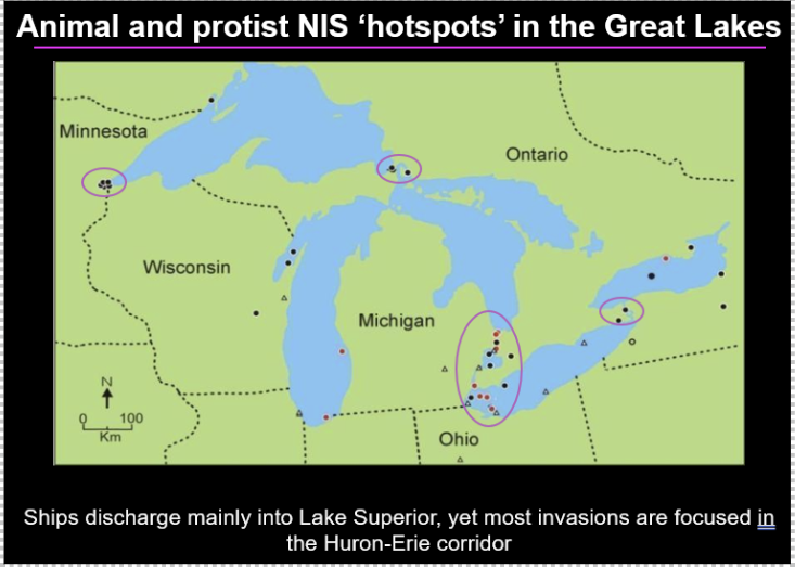 <p>-a lot of these are salt water ports </p><p>-a lot of ships will discharge in lake superior because its colder there and the species wont survive</p>