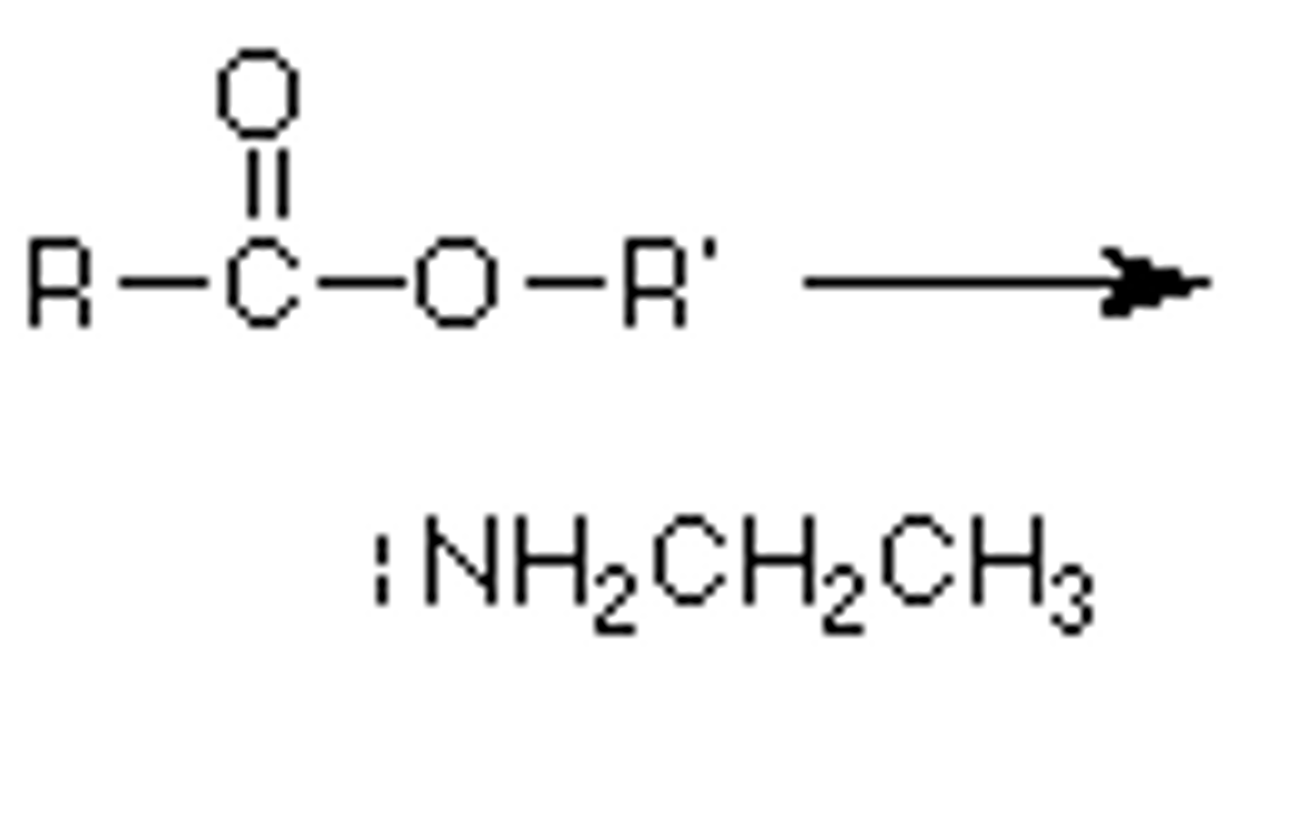 <p>What forms from an ester and amine?</p>