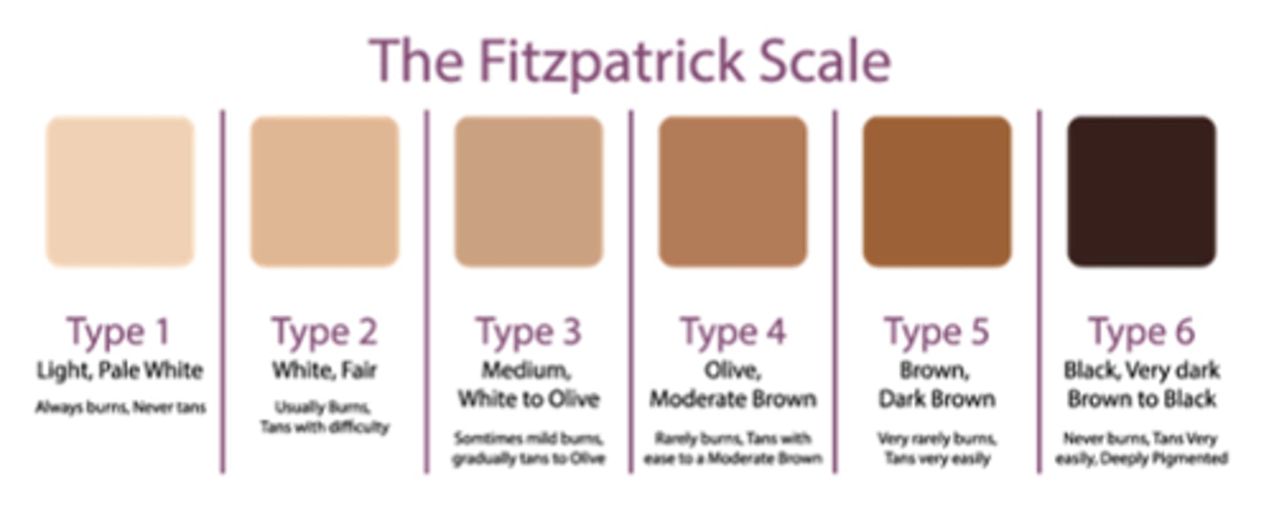 <p>- numerical classification for skin colour</p><p>- rating (0-40) considered amount of melanin in skin (colour) and therefore tolerance to sunlight/burning</p><p>- score out of 40 scales down to 6 types (score 0-6 = type 1 etc)</p>