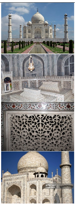 <p>Taj Mahal (use &amp; facts)</p>