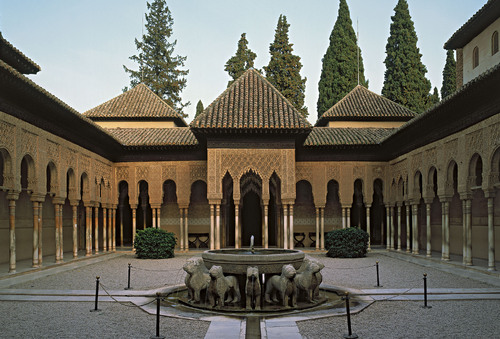term image