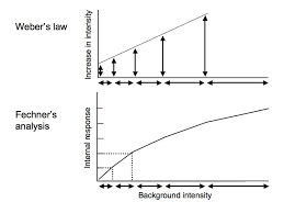 <p>What does Weber’s Law state about the just-noticeable difference (JND)?</p>