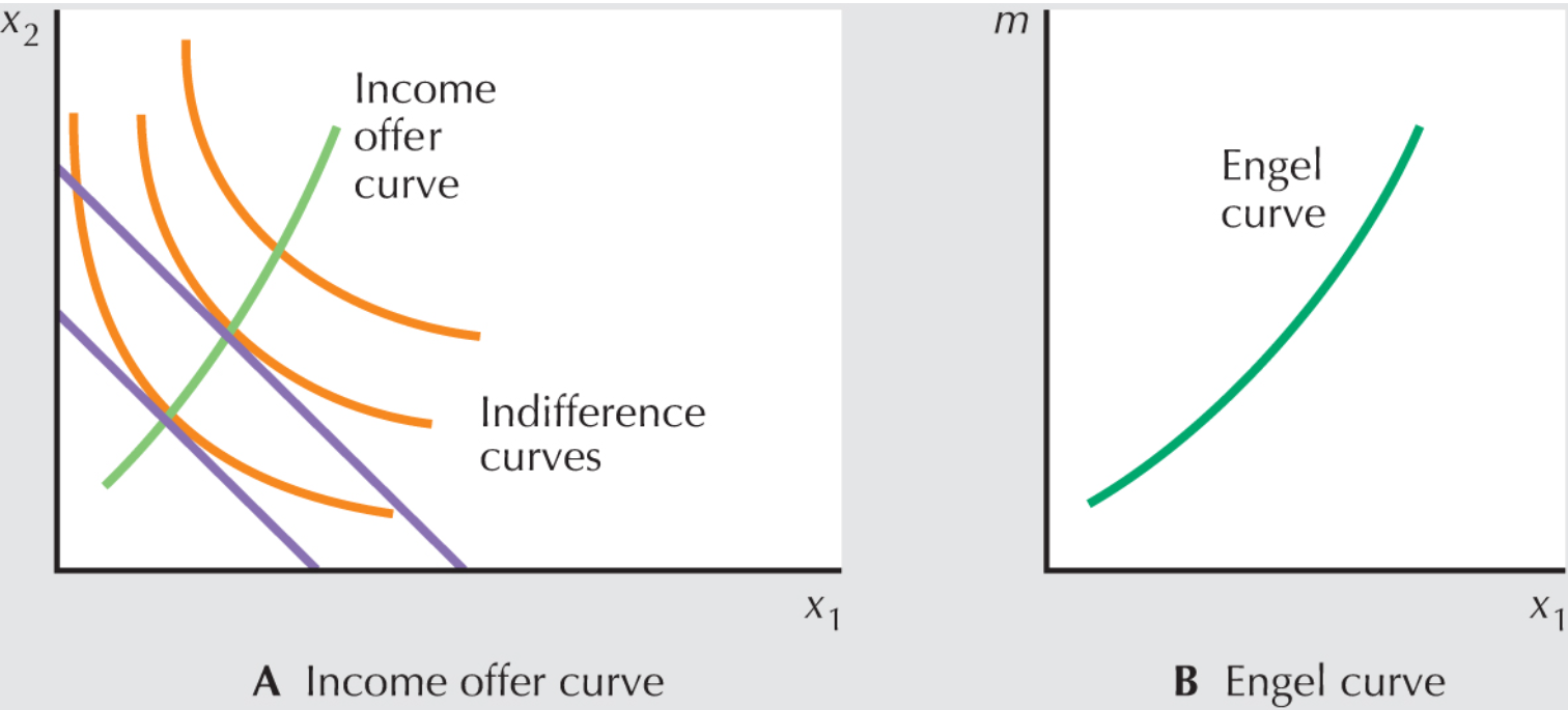 <ul><li><p>The shape of the income-offer curve is referred to as the income-expansion path; when income increases and the goods are normal, the slope will be positive </p></li><li><p>The income offer curve illustrates the bundles of goods demanded at different income levels </p></li><li><p>The Engel curve is one which shows the path of demand for a good given fixed prices</p></li></ul><p></p>