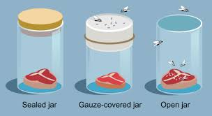 <p>Spontaneous generation</p>