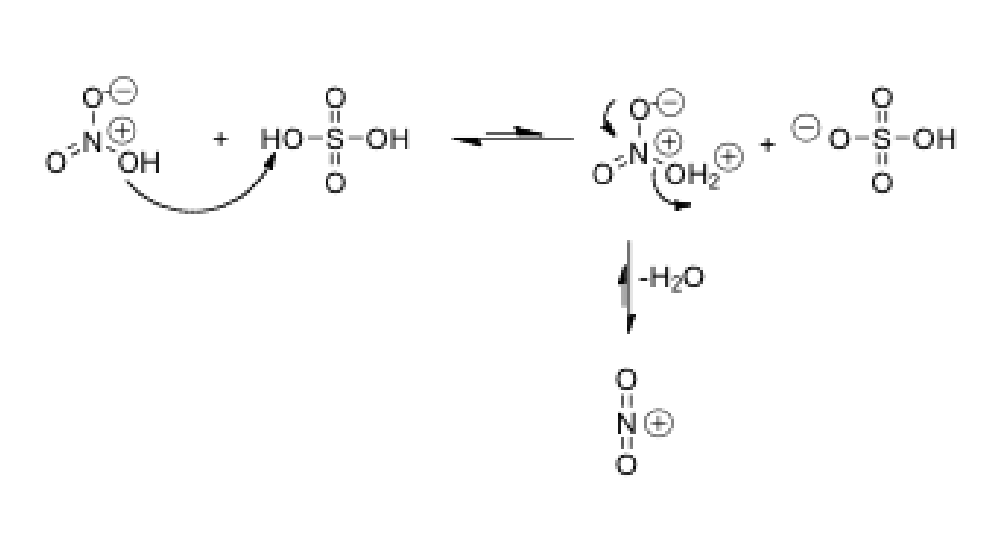 <ol><li><p><span>First, OH of nitric acid takes a proton from the sulfuric acid, forming H<sub>2</sub>O</span></p></li><li><p><span>This H<sub>2</sub>O group then leaves as water and then just leaves NO<sub>2</sub></span></p><ol><li><p><span>Electrons from other single bonded Oxygens shift to make 2 oxygens double bonded to the N</span></p></li></ol></li></ol><p></p>