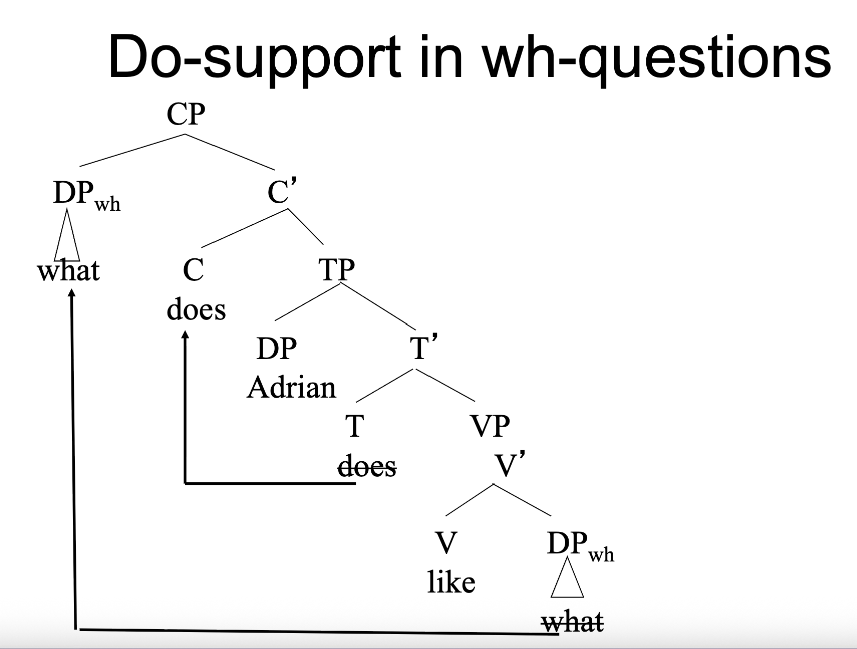 <ol><li><p><span style="color: rgb(249, 249, 249);"><span>do-support: If there is no auxiliary, insert do.</span></span></p></li><li><p><span style="color: rgb(249, 249, 249);"><span>Tense is generated in T, and attaches to auxiliary</span></span></p></li><li><p><span style="color: rgb(249, 249, 249);"><span>Aux-movement: Move auxiliary to position before subject (C)</span></span></p></li><li><p><span style="color: rgb(249, 249, 249);"><span>Wh-movement: Move wh-phrase to beginning of clause (specifier of CP)</span></span></p></li></ol><p></p>