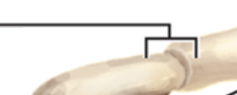 <p>Label</p>