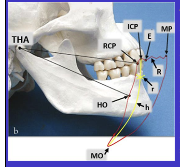 <p>Label the different movements</p>