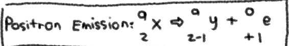 No Change in MASS NUMBER; +1 in ATOMIC NUMBER
