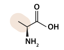 <p>what aa is this</p>