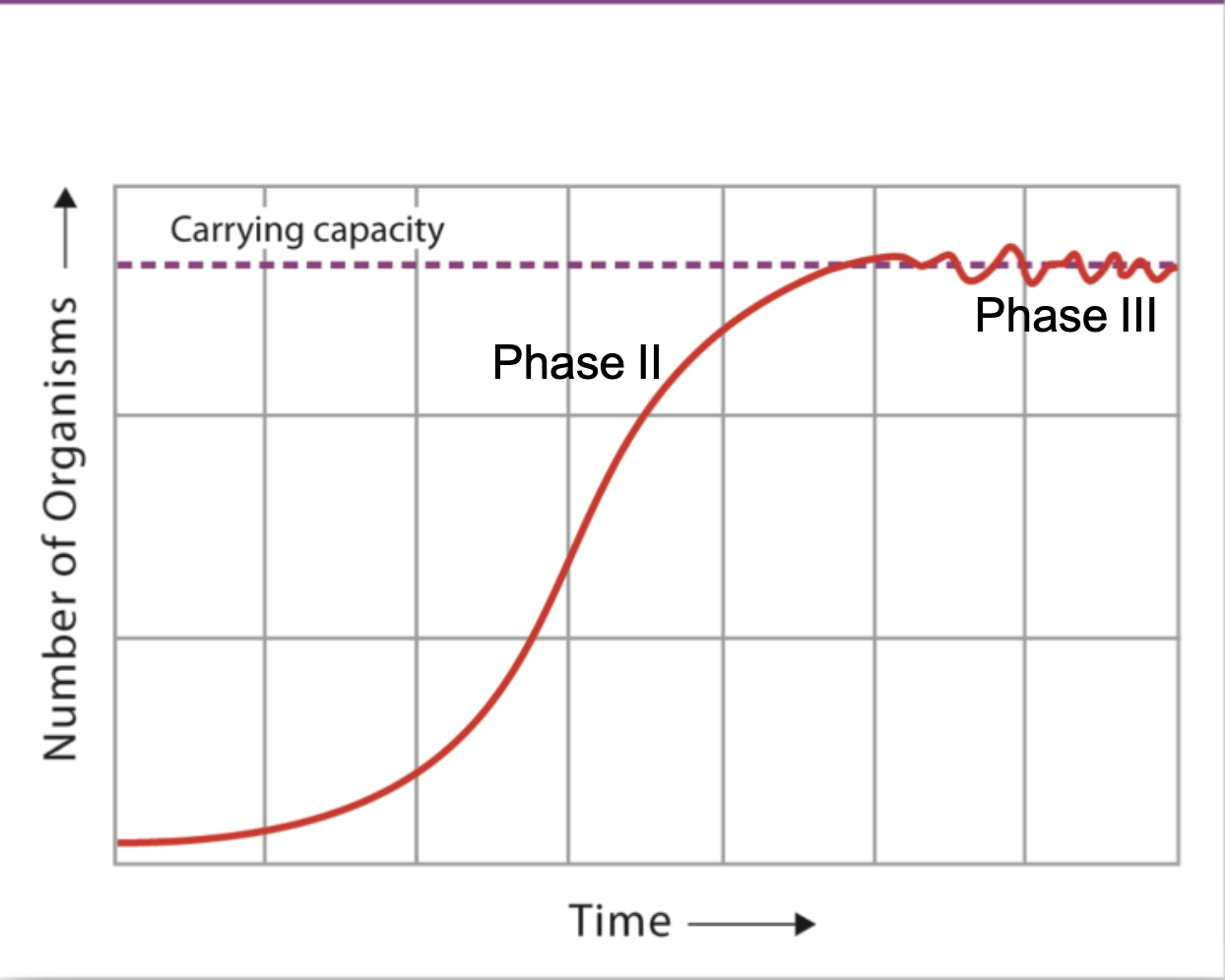 <p>What graph is this</p>