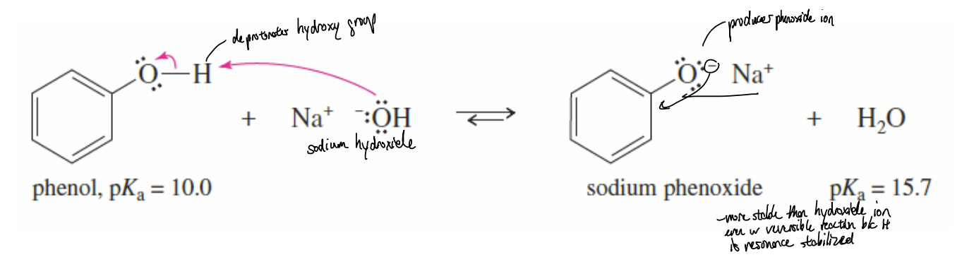 <p>Formation of Phenoxide Ion Reaction</p>