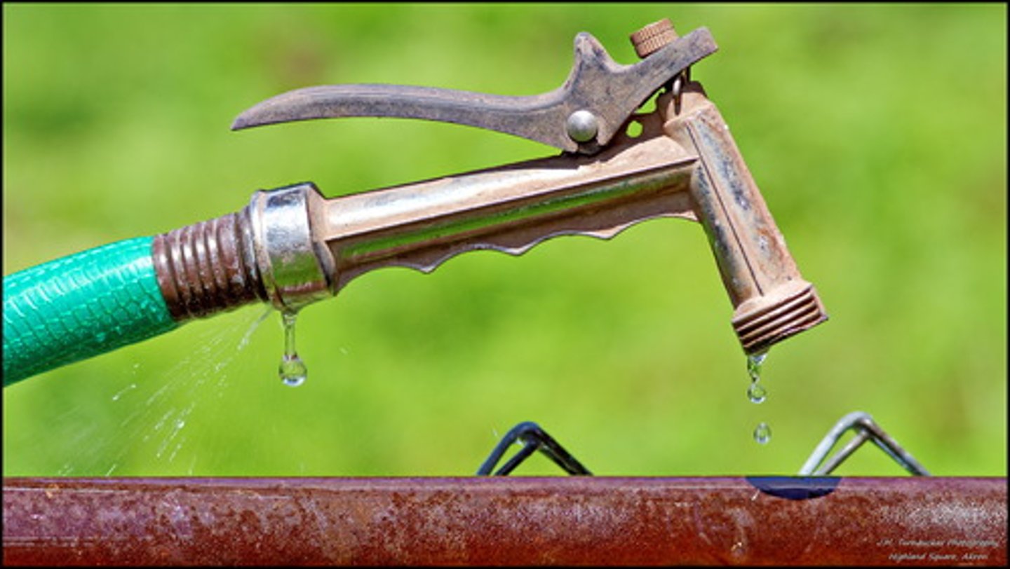 <p>a garden hose</p>