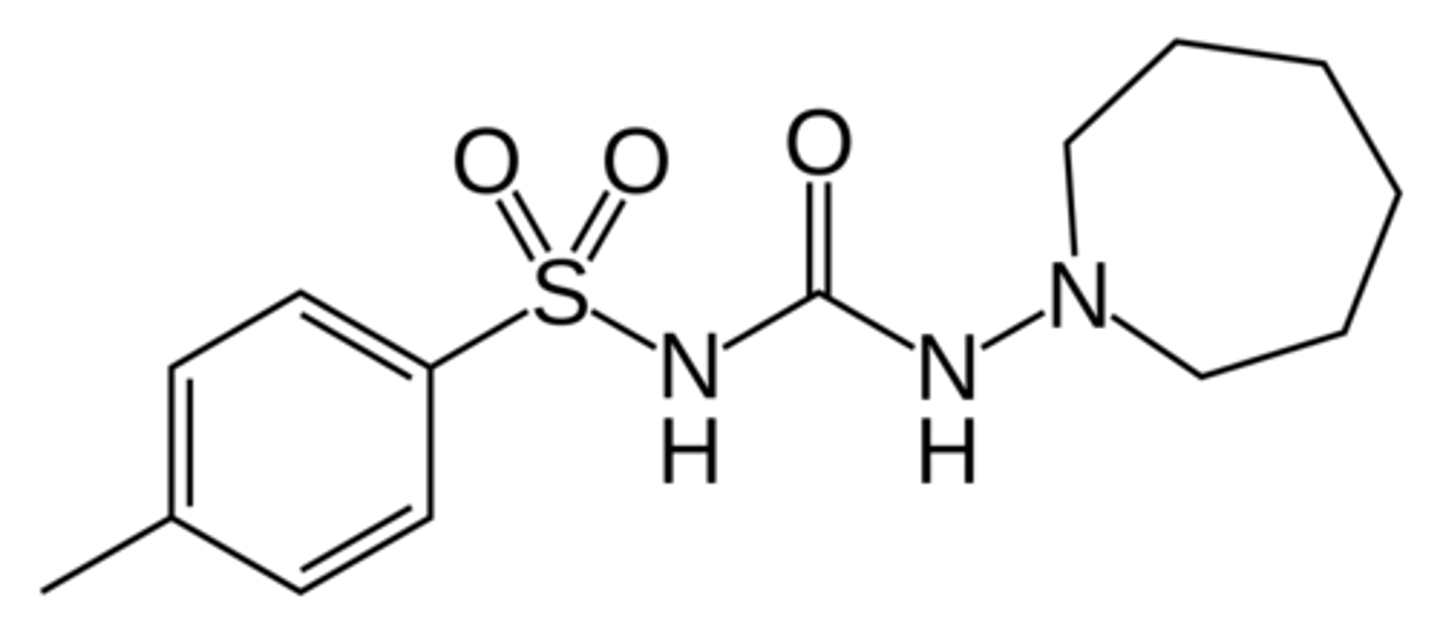 <p>1st gen sulfonylurea</p>