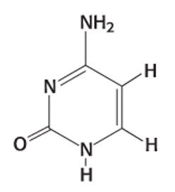 <p>Exam 2A-30</p><p>Which nitrogenous base is shown below?</p><p></p><p>a. uracil</p><p>b. adenine</p><p>c. guanine</p><p>d. thymidine</p><p>e. cytosine</p>
