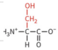 <ul><li><p>polar: uncharged</p></li><li><p>hydrophilic</p></li><li><p>not typically ionized at physiological pH</p></li></ul><p></p>