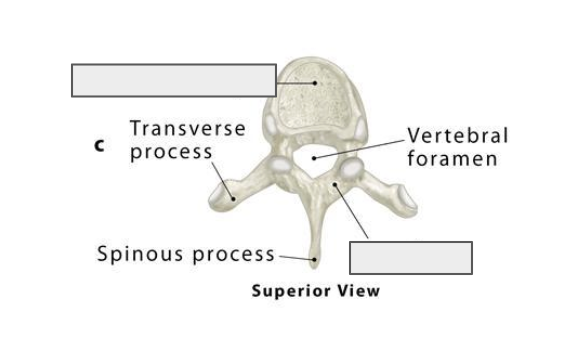 <p>Name the covered landmark</p>