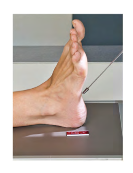 <p>Name this projection?</p>