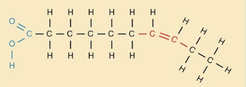 <p>Fatty acids with at least 1 double bond.&nbsp;</p>