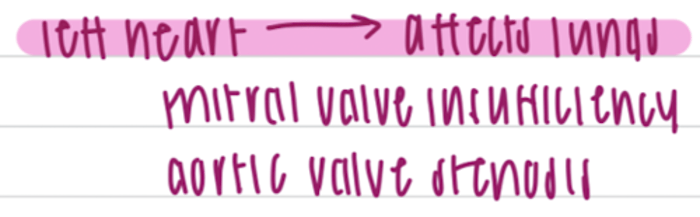 <p>left heart lesion/failure</p>