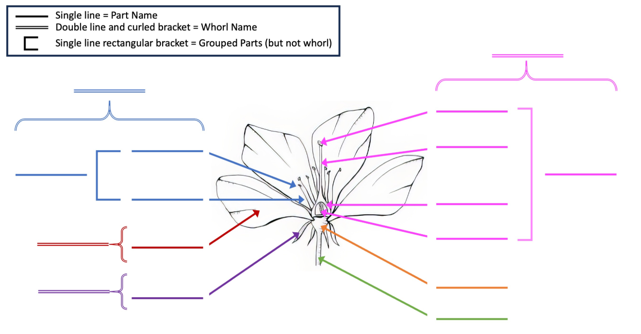 <p>Label the diagram.</p>