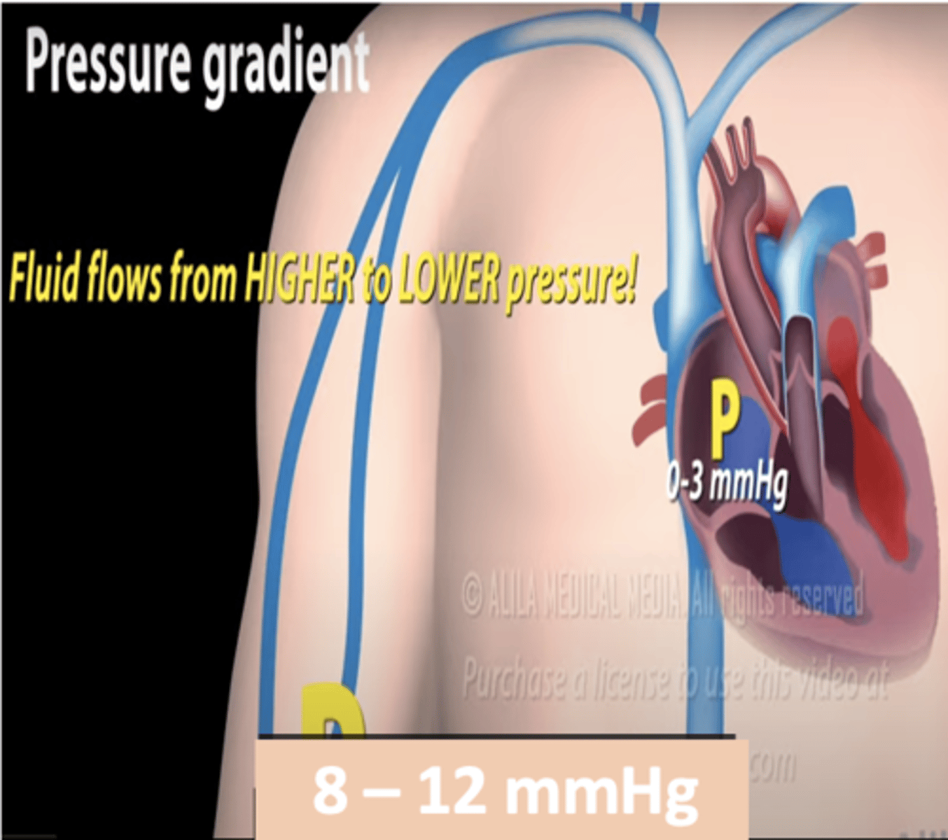 <p>What is the major force driving peripheral blood back to the heart? (factors that facilitate venous return) </p>