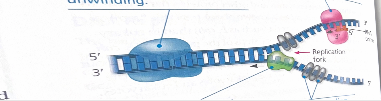 <p>Explain this image</p>