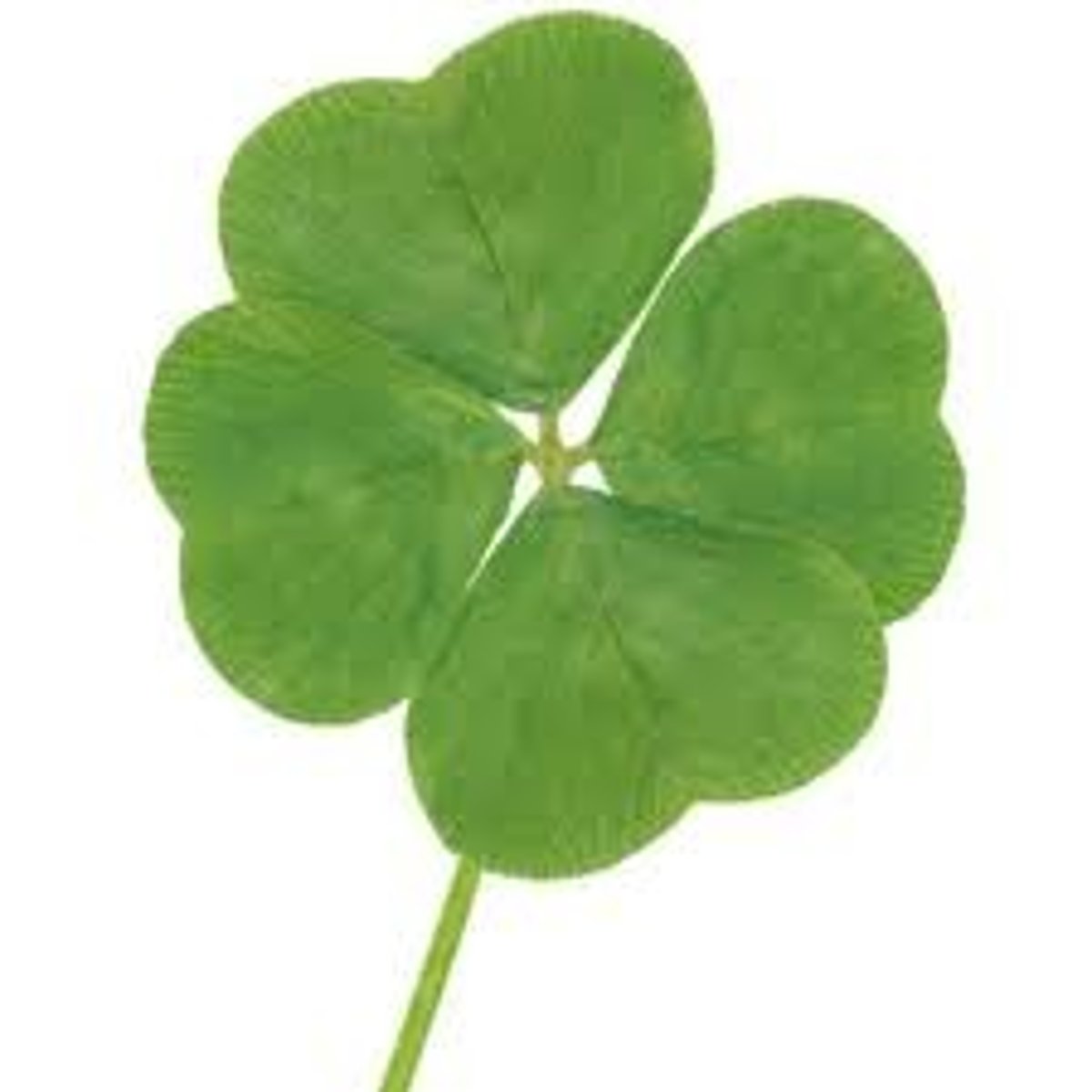 <p>(xìng)</p><p>luck</p>